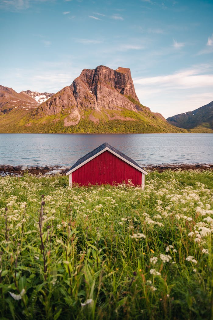 Mastering the First Impression: Your intriguing post title goes here Charming red cabin amidst wildflowers by a serene mountain lake, perfect tranquil escape.